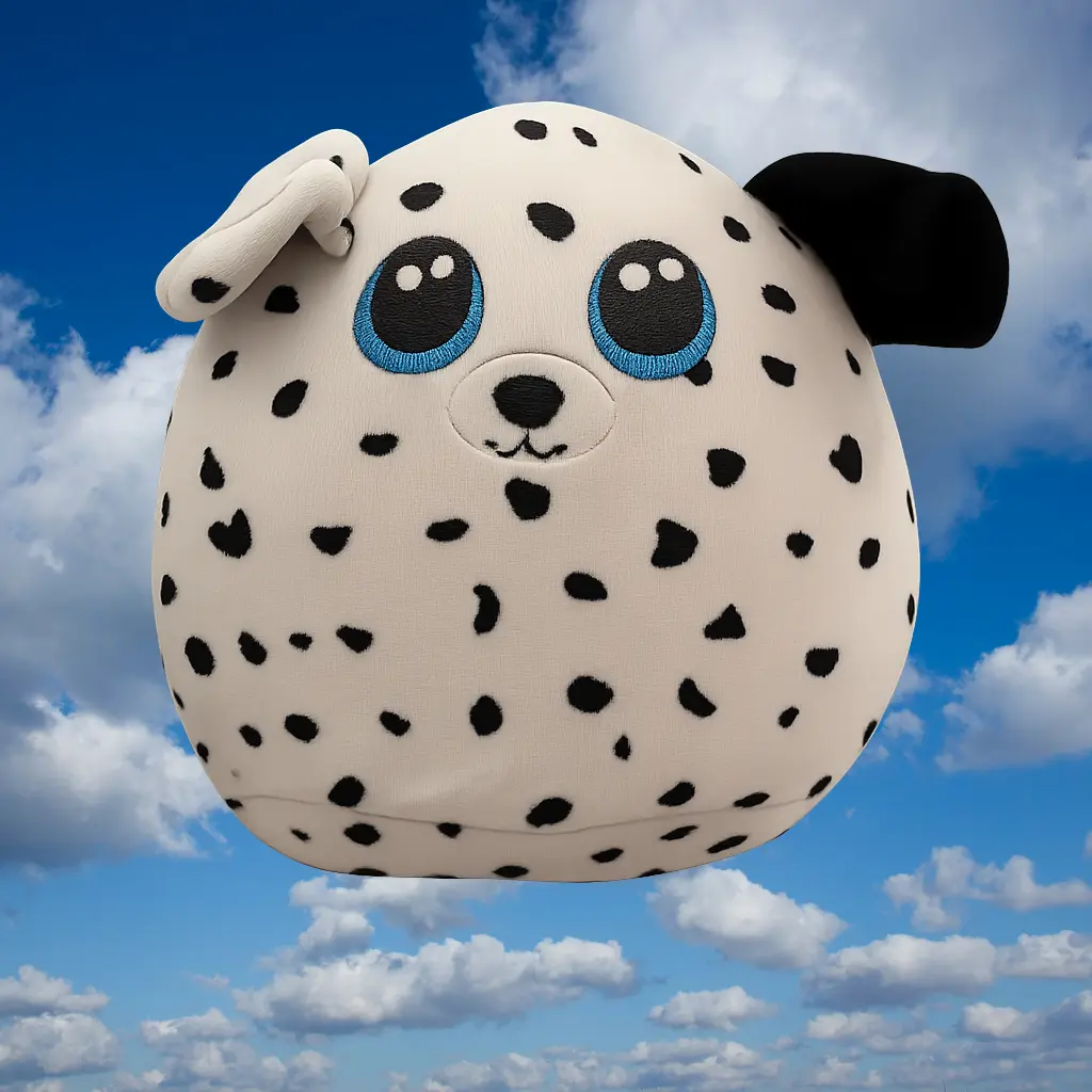 Fetch Sky