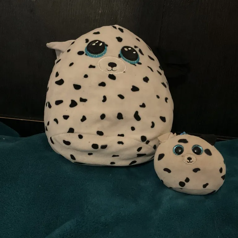 Fetchandfetchjr