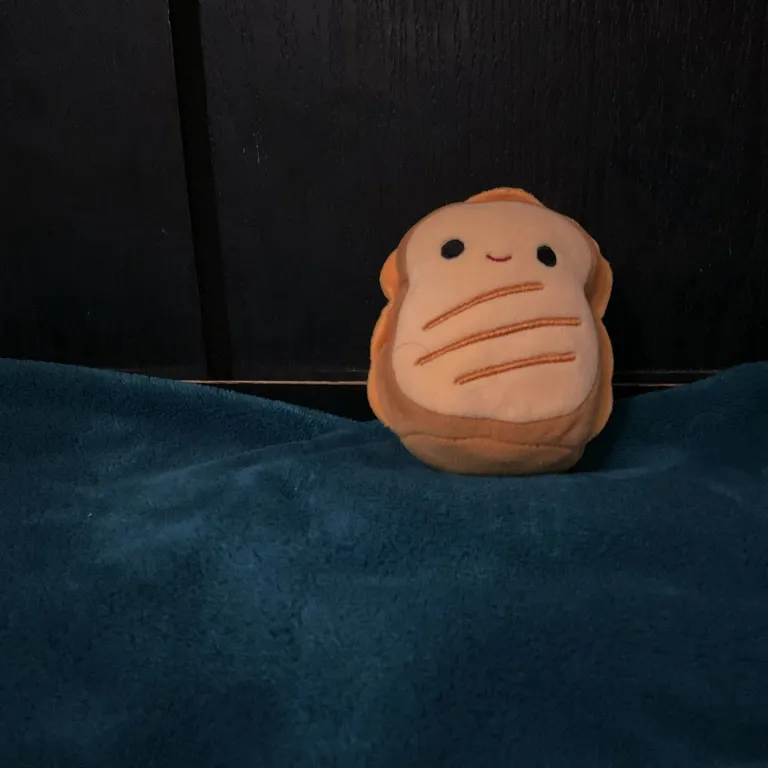 Toasty Jr